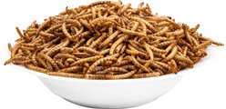 SunnyFarm SF507 Dried Black Soldier Larvae 52% Protein Non-GMO Crumble Chicken Bird Food, 1-lb bag slide 2 of 8