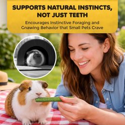 SunGrow Natural Timothy Hay Sticks Rabbit & Guinea Pig Treats, 4.7-in, 20 count slide 2 of 6
