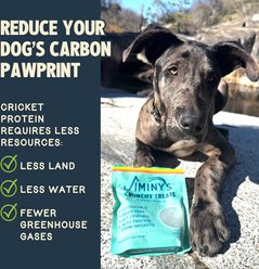 Jiminy's Grain-Free Cricket Cookie Original Recipe Dog Treats, 5-oz bag, 1 count slide 2 of 6