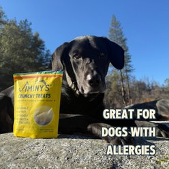 Jiminy's Grain-Free Cricket Cookie Peanut Butter & Blueberry Recipe Dog Treats, 5-oz bag, 3 count slide 2 of 6