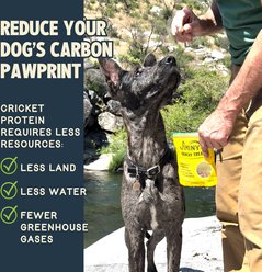 Jiminy's Grain-Free Cricket Cookie Peanut Butter & Blueberry Recipe Dog Treats, 5-oz bag, 1 count slide 2 of 6