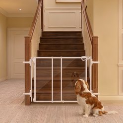 Unipaws Extendable Transparent Door Stair Dog Gate, White
