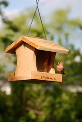 Panacea Hopper Wild Bird Feeder DIY Craft Kit slide 2 of 3