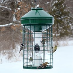 Panacea Caged Mixed Seed Wild Bird Feeder, 18-lb slide 2 of 2