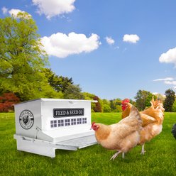 Panacea Rustic Farmhouse Absolute The Coop Chicken Wild Bird Feeder, 30-lb slide 2 of 3