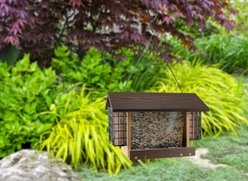 Panacea Going Green Contemporary Deluxe Ranch with Suet Wild Bird Feeder, 3.5-lb slide 2 of 2