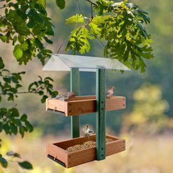 Panacea Going Green Cardinal Platform Wild Bird Feeder, 1-lb slide 2 of 2