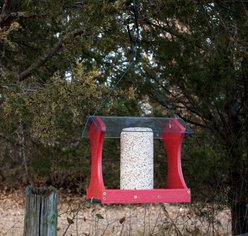 Panacea Going Green Seed Cylinder Wild Bird Feeder, Red slide 2 of 2