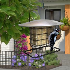 Panacea New Age Heavy-Duty Double Suet Cage Wild Bird Feeder with Weather Shield & Perches slide 2 of 2
