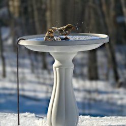 Panacea 70-watt De-Icer for Bird Baths, Ponds, Pet Dishes slide 2 of 4