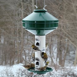 Panacea Mixed Seed Wild Bird Feeder, 15-lb slide 2 of 2