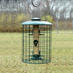 Panacea Caged 6-Port Tube Wild Bird Feeder, 1.25-lb slide 2 of 2