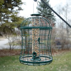 Panacea Caged Mixed Seed Tube Wild Bird Feeder, 1.25-lb slide 2 of 2