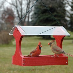 Panacea Going Green Fly-Thru Wild Bird Feeder, 1.5-lb slide 2 of 2