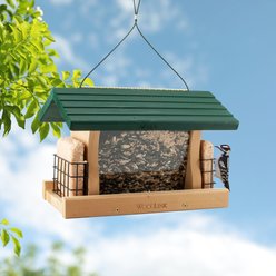 Panacea Wood Garden Green Roof & Suet Wild Bird Feeder, 5-lb slide 2 of 2