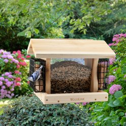 Panacea Premier Wood & Suet Wild Bird Feeder, 5-lb slide 2 of 2