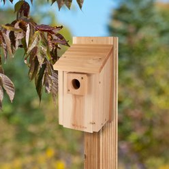 Panacea Traditional Bluebird House slide 2 of 2