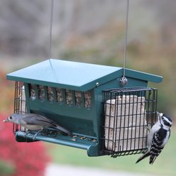 Panacea Mini Seeds 'N More Wild Bird Feeder slide 2 of 2