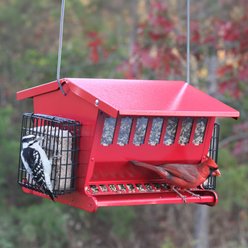 Panacea Seeds 'N More Wild Bird Feeder, 15-lb slide 2 of 2
