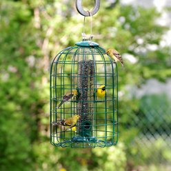 Panacea Squirrel-Resistant Caged Tube Wild Bird Feeder, 1.25-lb slide 2 of 2