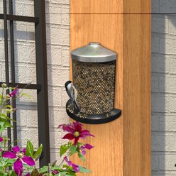 Panacea New Age Wall & Post Wild Bird Feeder slide 2 of 2
