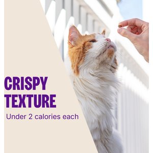 Wellness Kittles Natural Grain-Free Chicken & Cranberries Crunchy Cat Treats, 2-oz bag