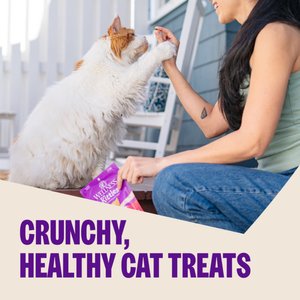Wellness Kittles Natural Grain-Free Chicken & Cranberries Crunchy Cat Treats, 2-oz bag