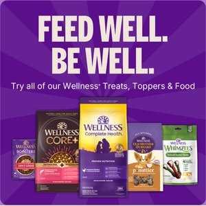 Wellness Soft Puppy Bites Lamb & Salmon Grain-Free Dog Treats, 3-oz pouch