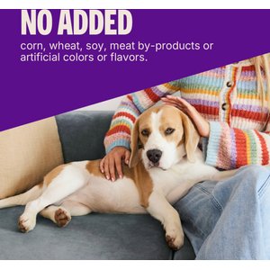 Wellness Soft Puppy Bites Lamb & Salmon Grain-Free Dog Treats, 3-oz pouch