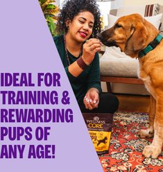 Wellness CORE Brainiac Puppy Beef & Turkey Training Soft Dog Treats, 5-oz bag slide 2 of 7