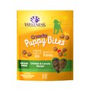Wellness Crunchy Puppy Bites Chicken & Carrots Recipe Grain-Free Natural Dog Treats, 6-oz bag