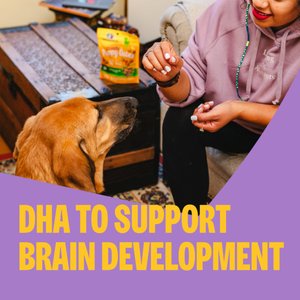 Wellness Crunchy Puppy Bites Chicken & Carrots Recipe Grain-Free Natural Dog Treats, 6-oz bag