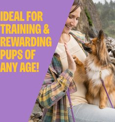 Wellness Soft Puppy Bites Lamb & Salmon Grain-Free Dog Treats, 8-oz pouch slide 2 of 8