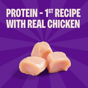 Wellness Crunchy Puppy Bites Chicken & Carrots Recipe Grain-Free Natural Dog Treats, 6-oz bag