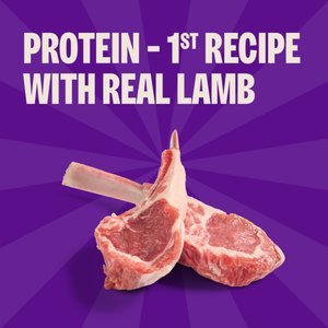 Wellness Soft Puppy Bites Lamb & Salmon Grain-Free Dog Treats, 3-oz pouch