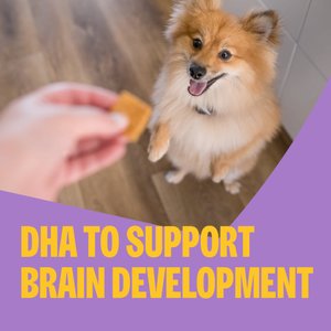 Wellness Soft Puppy Bites Lamb & Salmon Grain-Free Dog Treats, 3-oz pouch