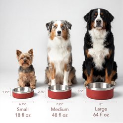 Anivida Non-Skid Stainless Steel Dog Bowl & 2 Beef Scented Sleeve Starter Kit, Red, Large: 64-oz slide 2 of 4