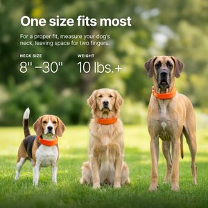 Halo Collar 5 Wireless Dog Fence System & GPS Collar, Orchid