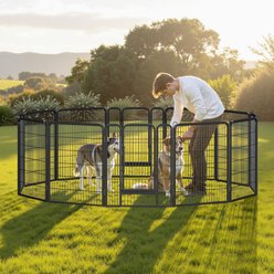 Yaheetech Heavy Duty Metal Dog & Cat Playpen, Black, 40-in, 6-panel