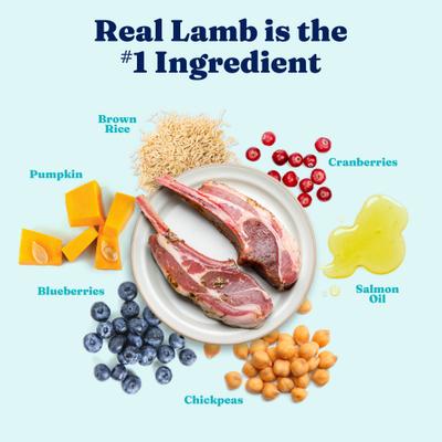 Show full view: Solid Gold Real Lamb, Brown Rice & Pearled Barley Whole Grain Recipe Dry Dog Food for Medium & Large Dogs, 4-lb bag slide 3 of 12