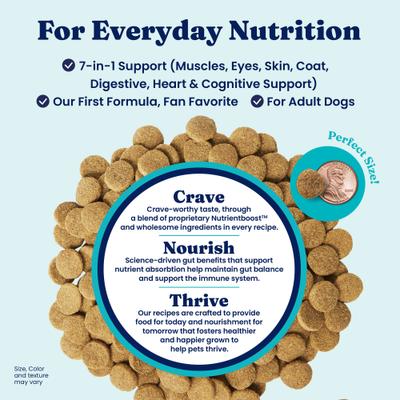 Show full view: Solid Gold Real Lamb, Brown Rice & Pearled Barley Whole Grain Recipe Dry Dog Food for Medium & Large Dogs, 4-lb bag slide 4 of 12
