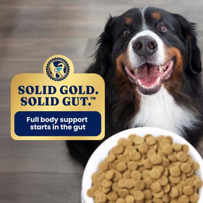 Show full view: Solid Gold Real Lamb, Brown Rice & Pearled Barley Whole Grain Recipe Dry Dog Food for Medium & Large Dogs, 4-lb bag slide 9 of 12