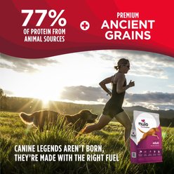 Nulo Frontrunner Ancient Grains Pork, Barley, & Beef Recipe High-Protein Adult Dry Dog Food, 5-lb bag slide 2 of 9