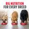 Show in main carousel: Nulo Frontrunner Ancient Grains Beef, Barley, & Lamb Recipe High-Protein Adult Dry Dog Food, 25-lb bag slide 6 of 11