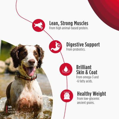 Show full view: Nulo Frontrunner Ancient Grains Beef, Barley, & Lamb Recipe High-Protein Adult Dry Dog Food, 25-lb bag slide 4 of 11