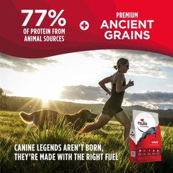 Nulo Frontrunner Ancient Grains Beef, Barley, & Lamb Recipe High-Protein Adult Dry Dog Food, 25-lb bag slide 2 of 9