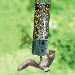 Panacea The Magnet Squirrel-Resistant Tube Wild Bird Feeder, 7.5-lb slide 2 of 4