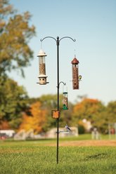 Panacea 85-in Basic Two Way Bird Station slide 2 of 2