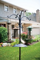 Panacea 90-in Deluxe Four Way Bird Station slide 2 of 2