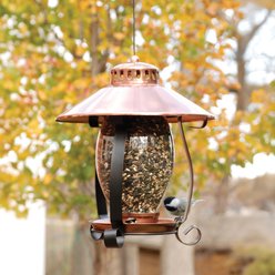 Panacea Copper-Finish Lantern Wild Bird Feeder, 4.75-lb slide 2 of 2